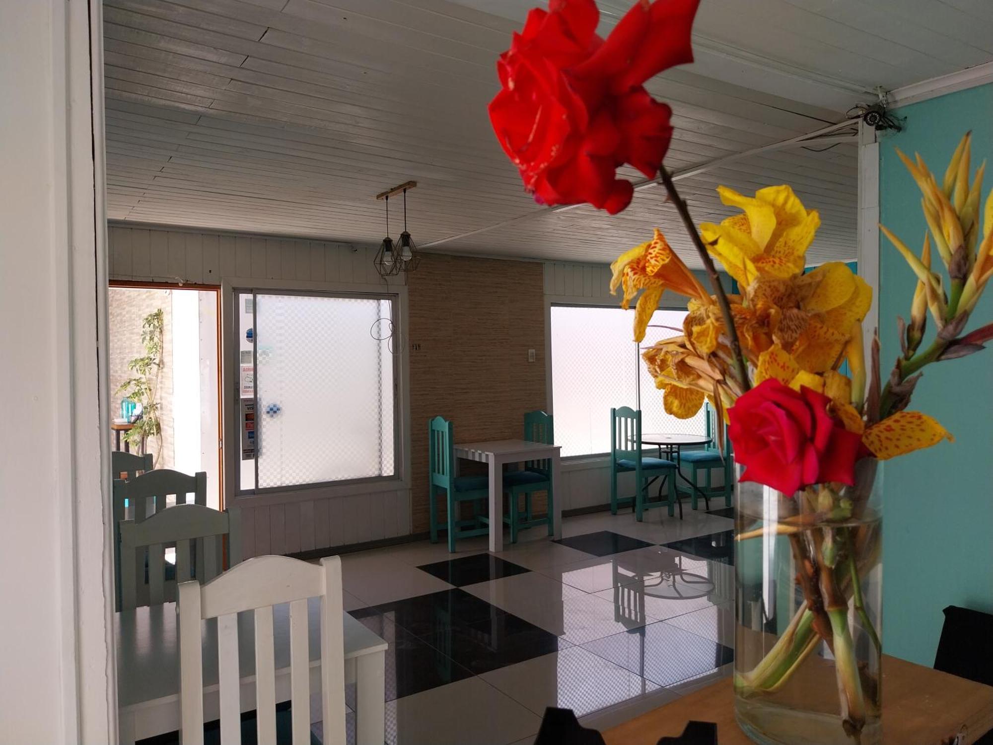 לה סרנה Hostal Avenue מראה חיצוני תמונה