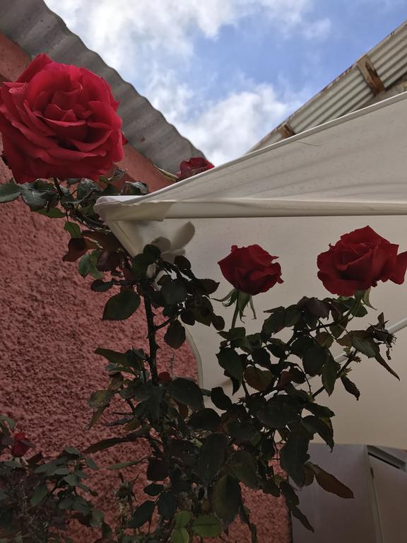 לה סרנה Hostal Avenue מראה חיצוני תמונה